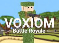 Voxiom.io